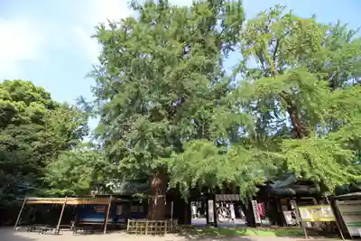 大宮八幡宮のその他建物
