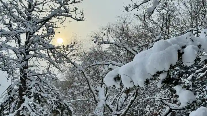秋葉神社の{uncategorized: "未分類", other: "その他", undefined: "問題あり", building: "その他建物", grave: "お墓", sacred_gate: "鳥居", guardian: "狛犬", statue: "像", buddha: "仏像", history: "歴史", nature: "自然", garden: "庭園", animal: "動物", pagoda: "塔", temizu: "手水舎", mountain_gate: "山門・神門", sanctuary: "本殿・本堂", subordinate: "末社・摂社", art: "芸術", scenery: "景色", jizo: "地蔵", ema: "絵馬", goshuin: "御朱印", omikuji: "おみくじ", items: "授与品その他", amulet: "お守り", goshuincho: "御朱印帳", eats: "食事", festival: "お祭り", votive_dance: "神楽", shichigosan: "七五三参", wedding: "結婚式", experience: "体験その他", initially: "初詣", around: "周辺", anti_infection: "感染症対策"}