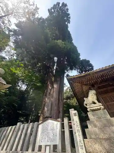 伊富岐神社(岐阜県)