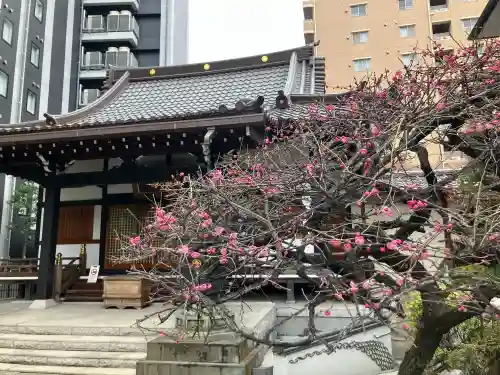 幸福寺の御朱印
