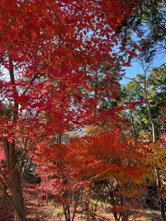 常樂寺(滋賀県)