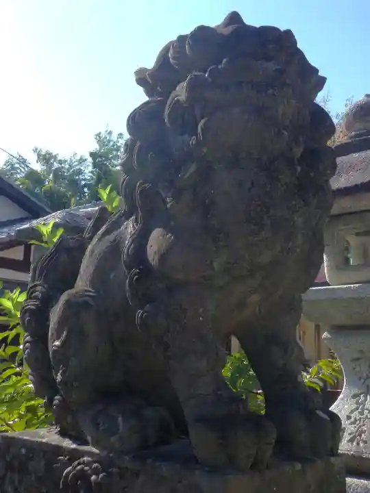 花山稲荷神社の狛犬