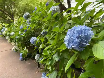 本土寺(千葉県)