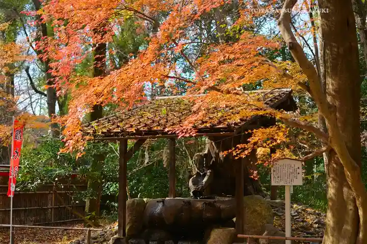 賀茂御祖神社(下鴨神社)(京都府)