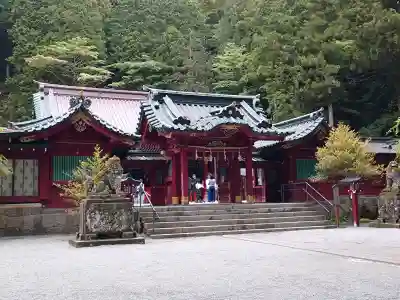 箱根神社の御朱印