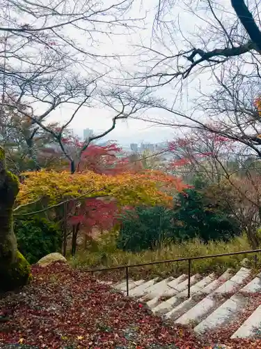 園城寺（三井寺）(滋賀県)