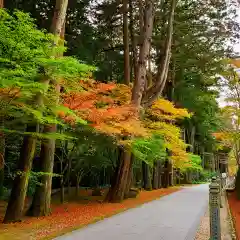 尊永寺(静岡県)