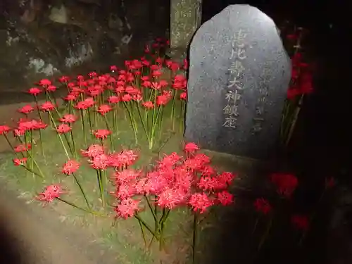 横浜　西方寺の自然