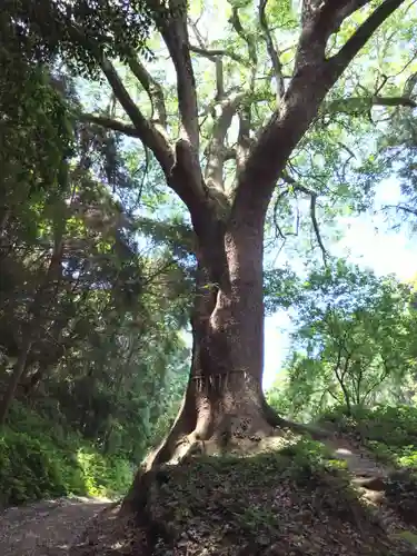 桜井大神宮(福岡県)