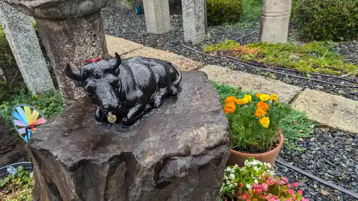 大松禅寺(京都府)