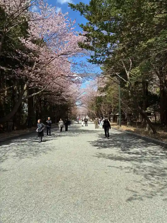 北海道神宮の{uncategorized: "未分類", other: "その他", undefined: "問題あり", building: "その他建物", grave: "お墓", sacred_gate: "鳥居", guardian: "狛犬", statue: "像", buddha: "仏像", history: "歴史", nature: "自然", garden: "庭園", animal: "動物", pagoda: "塔", temizu: "手水舎", mountain_gate: "山門・神門", sanctuary: "本殿・本堂", subordinate: "末社・摂社", art: "芸術", scenery: "景色", jizo: "地蔵", ema: "絵馬", goshuin: "御朱印", omikuji: "おみくじ", items: "授与品その他", amulet: "お守り", goshuincho: "御朱印帳", eats: "食事", festival: "お祭り", votive_dance: "神楽", shichigosan: "七五三参", wedding: "結婚式", experience: "体験その他", initially: "初詣", around: "周辺", anti_infection: "感染症対策"}