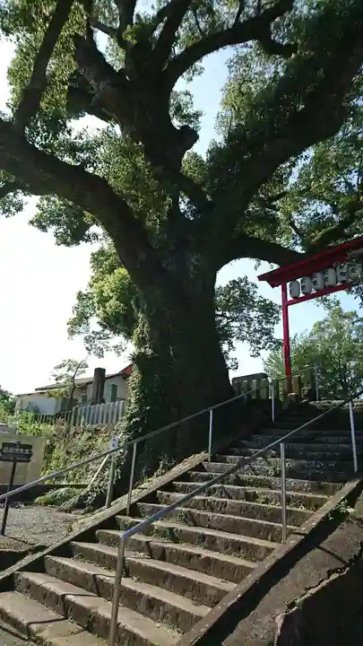 松橋神社の自然