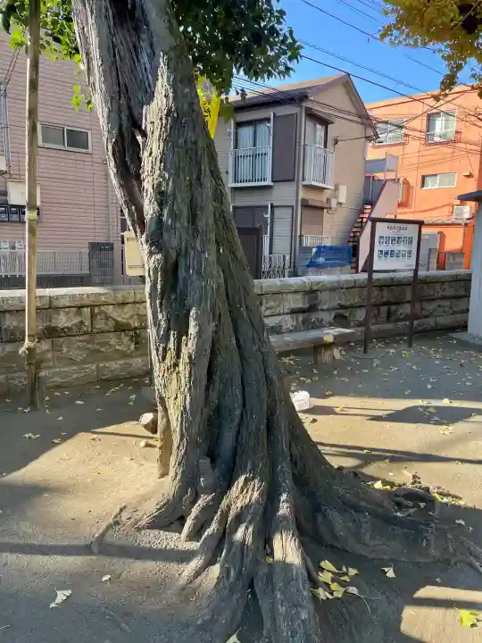 東貫森稲荷神社(東京都)