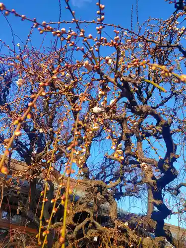 結城神社(三重県)