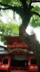 春日神社の本殿