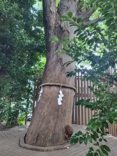鎮守氷川神社の体験その他