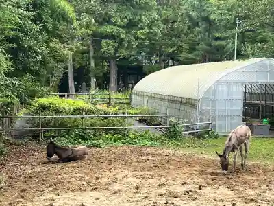 輪王寺の動物