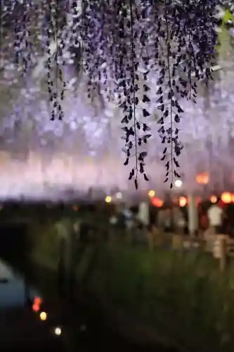 中山熊野神社(福岡県)