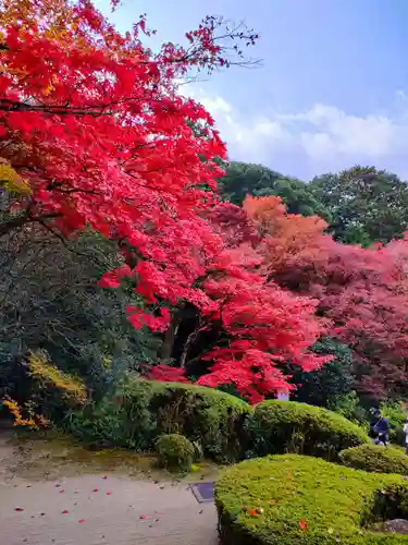 詩仙堂（丈山寺）の庭園