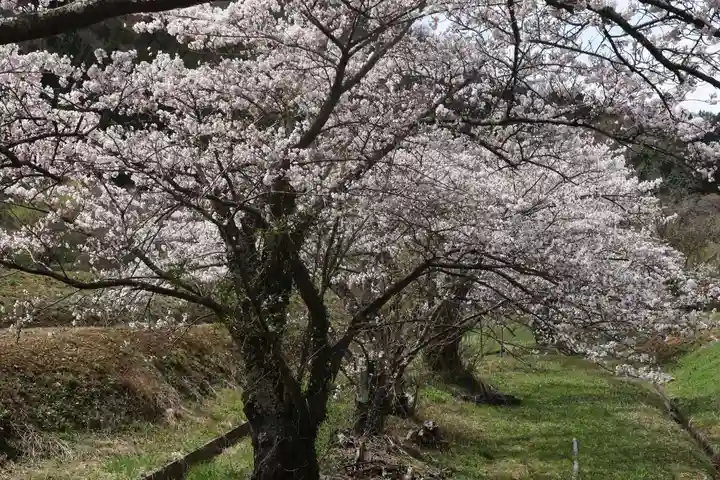 高司神社〜むすびの神の鎮まる社〜の景色