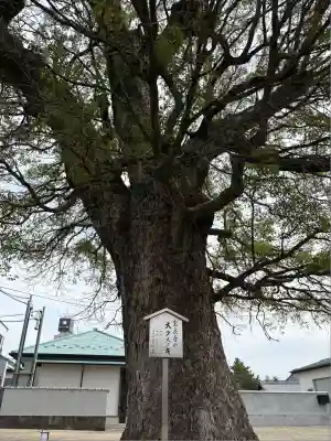 宝泉寺(愛知県)