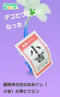 観明寺(東京都)