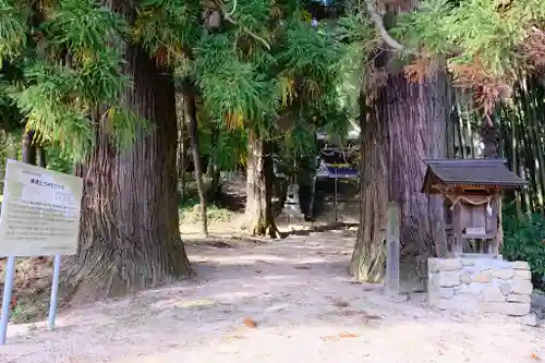 蘇羅比古神社の自然