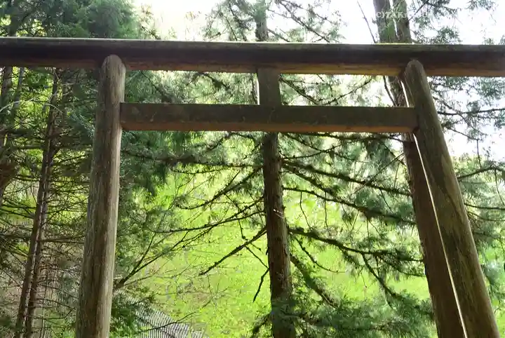 武蔵御嶽神社の鳥居