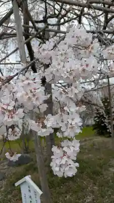橋寺 放生院(京都府)