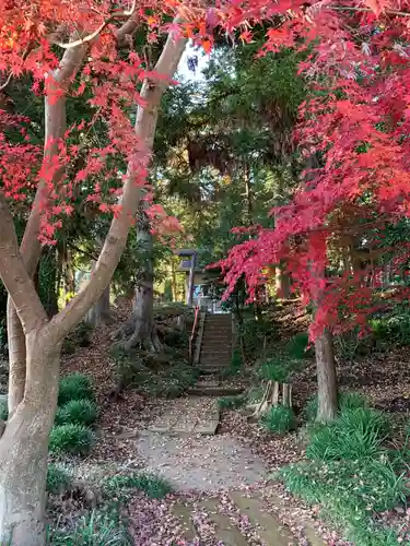 朝日神社の自然