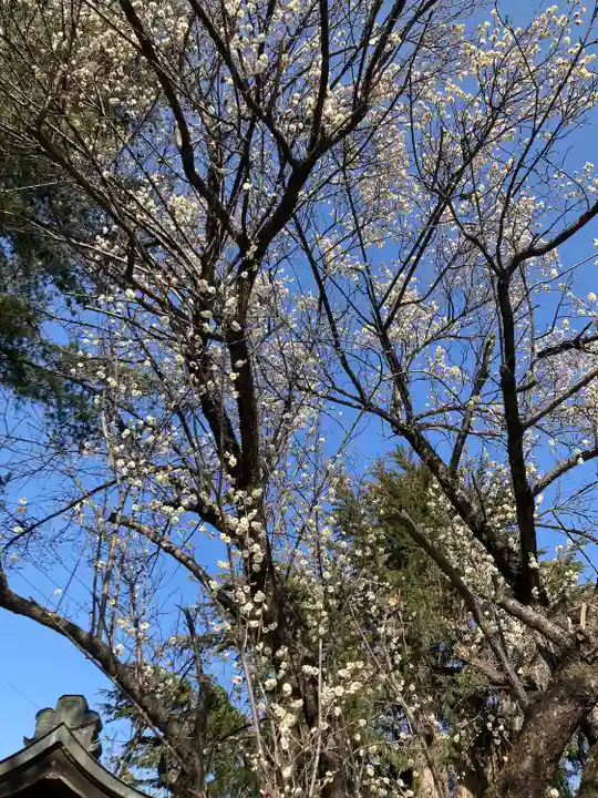穂高神社本宮(長野県)