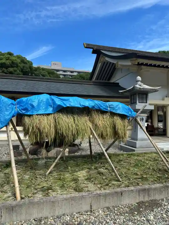愛知縣護國神社(愛知県)