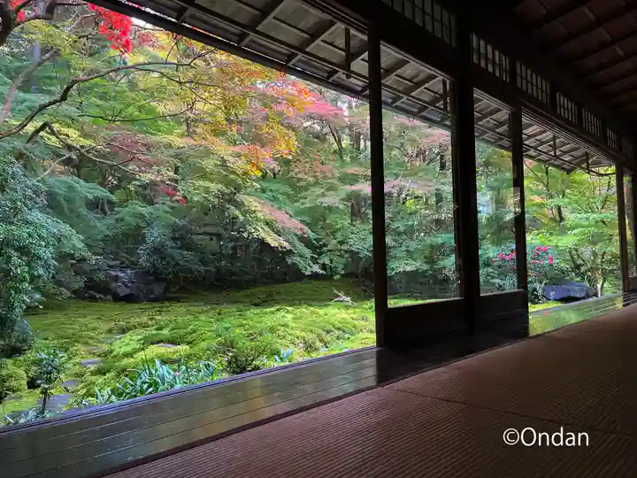 光明寺瑠璃光院の庭園