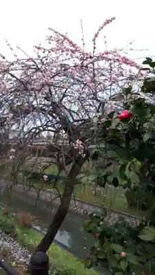 長建寺(京都府)