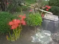 九品寺の手水舎