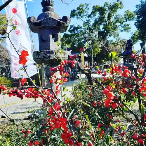 牛嶋天満宮の自然