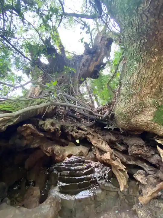 大山祇神社奥の院 生樹の御門(愛媛県)