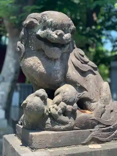 （芝生）浅間神社の狛犬