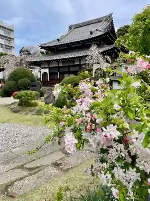 青雲寺(東京都)