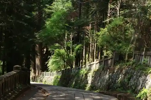 榛名神社の{uncategorized: "未分類", other: "その他", undefined: "問題あり", building: "その他建物", grave: "お墓", sacred_gate: "鳥居", guardian: "狛犬", statue: "像", buddha: "仏像", history: "歴史", nature: "自然", garden: "庭園", animal: "動物", pagoda: "塔", temizu: "手水舎", mountain_gate: "山門・神門", sanctuary: "本殿・本堂", subordinate: "末社・摂社", art: "芸術", scenery: "景色", jizo: "地蔵", ema: "絵馬", goshuin: "御朱印", omikuji: "おみくじ", items: "授与品その他", amulet: "お守り", goshuincho: "御朱印帳", eats: "食事", festival: "お祭り", votive_dance: "神楽", shichigosan: "七五三参", wedding: "結婚式", experience: "体験その他", initially: "初詣", around: "周辺", anti_infection: "感染症対策"}