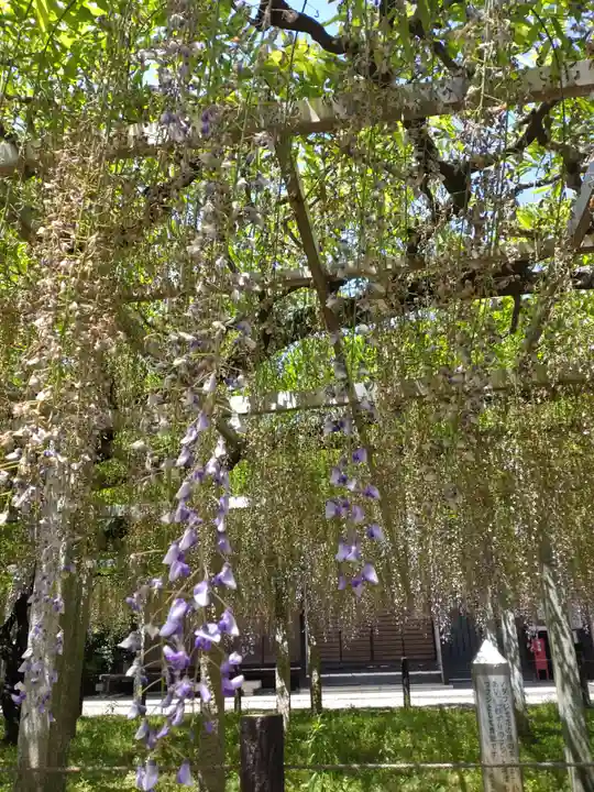 三大神社の自然