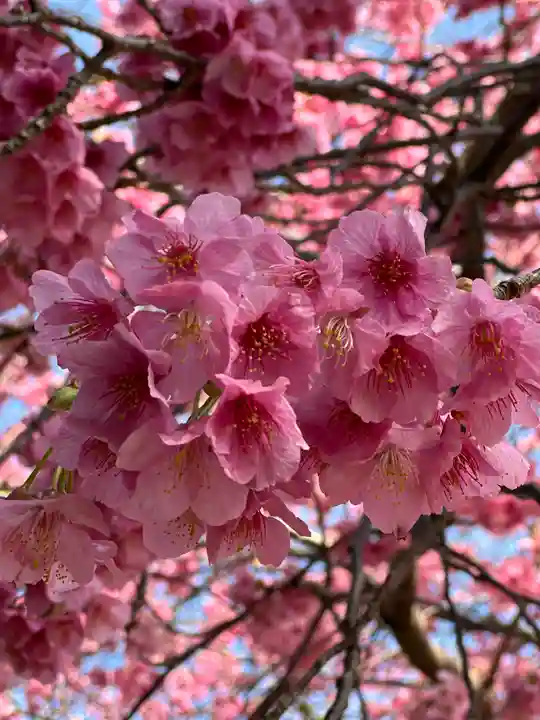 かっぱの寺 栖足寺(静岡県)