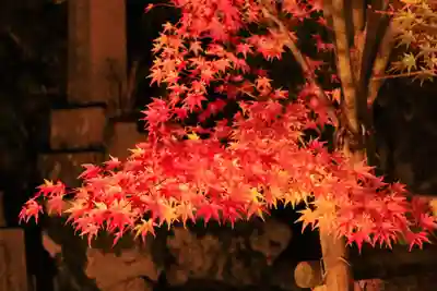 正寿院(京都府)