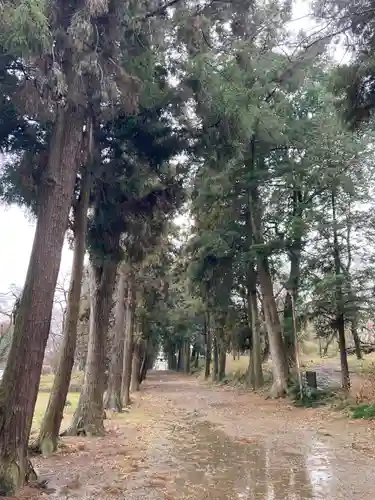 千代ケ岡八幡宮(栃木県)