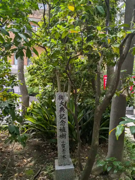 金刀比羅宮東京分社(東京都)