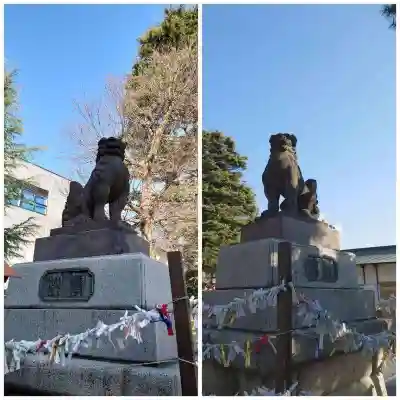 草加神社の狛犬