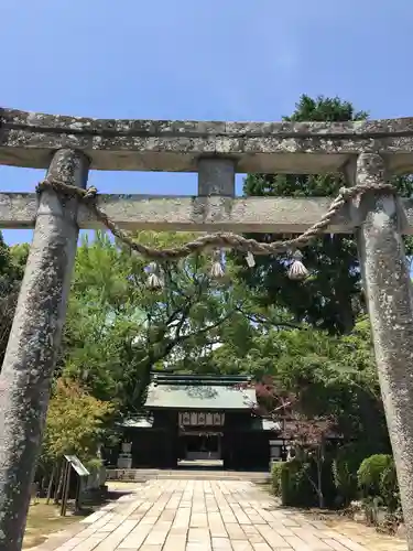 玉祖神社の鳥居