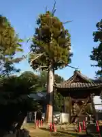 松林寺のその他建物