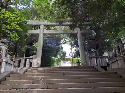 渋谷氷川神社の鳥居
