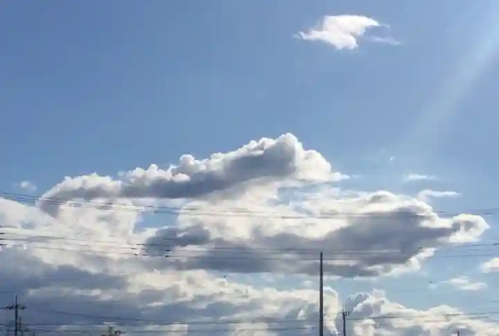 白蛇辨財天の景色